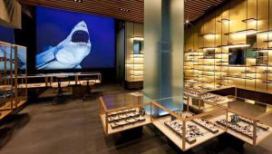 Dvision Gold Coast